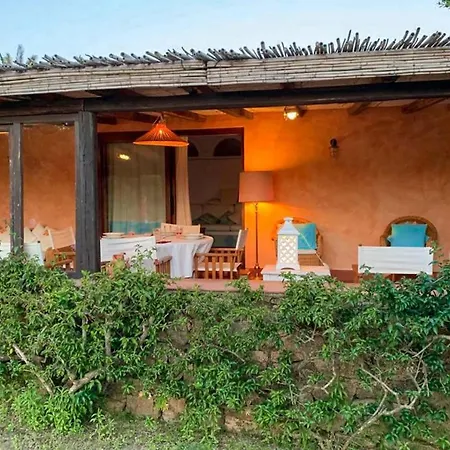 Coral Dream